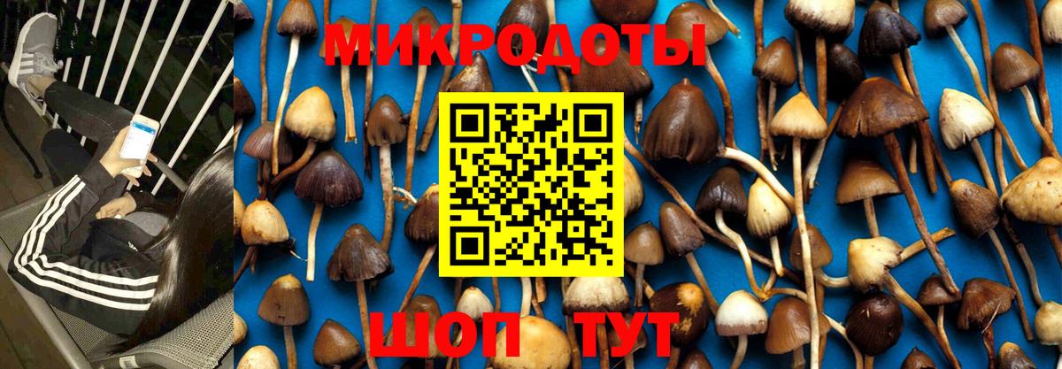 Псилоцибиновые грибы Magic Shrooms  Псилоцибиновые грибы GOLDEN TEACHER  купить  цена  Кольчугино  Вход с VPN 